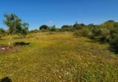 Non-developable land for sale on España, San José del Valle, ref: TR337374 photo
