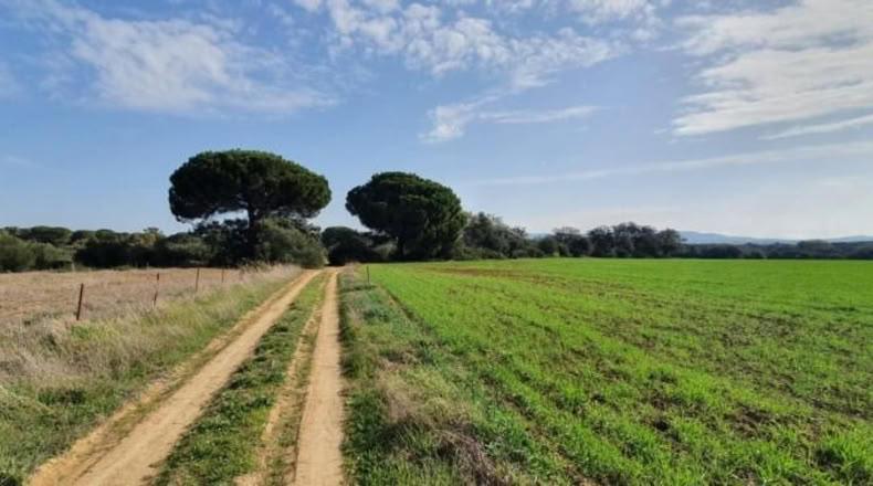 Кадис - San José del Valle - 4000m2