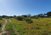 Non-developable land for sale on España, San José del Valle, ref: TR337374 photo