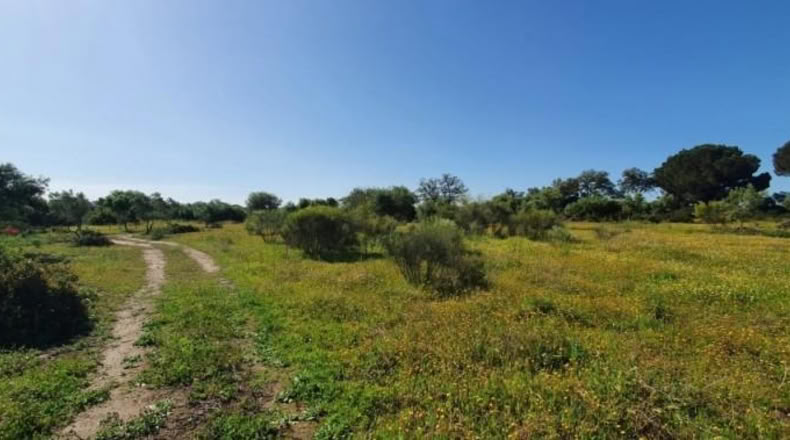 Кадис - San José del Valle - 4000m2