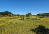 Non-developable land for sale on España, San José del Valle, ref: TR337374 photo