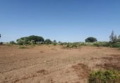 Non-developable land for sale on España, San José del Valle, ref: TR337374 photo