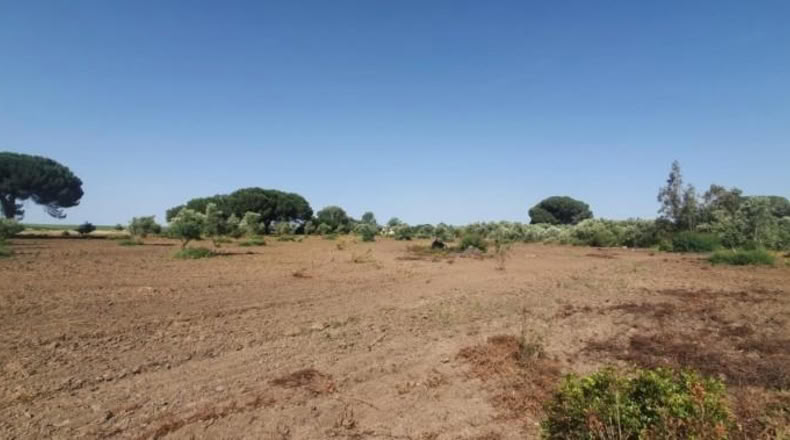 Кадис - San José del Valle - 4000m2
