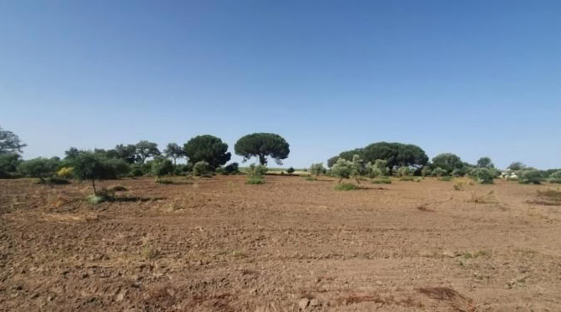 Кадис - San José del Valle - 4000m2