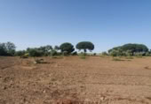 Non-developable land for sale on España, San José del Valle, ref: TR337374 photo