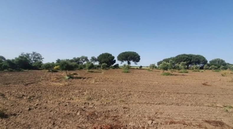 Кадис - San José del Valle - 4000m2