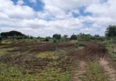 Non-developable land for sale on España, San José del Valle, ref: TR337374 photo