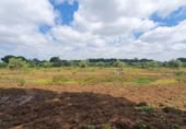 Non-developable land for sale on España, San José del Valle, ref: TR337374 photo
