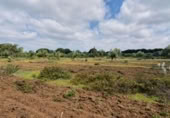 Non-developable land for sale on España, San José del Valle, ref: TR337374 photo