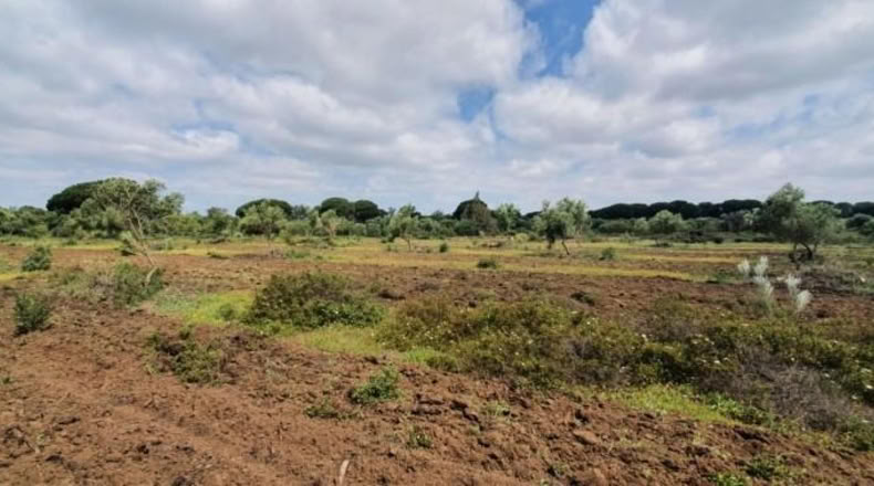 Кадис - San José del Valle - 4000m2