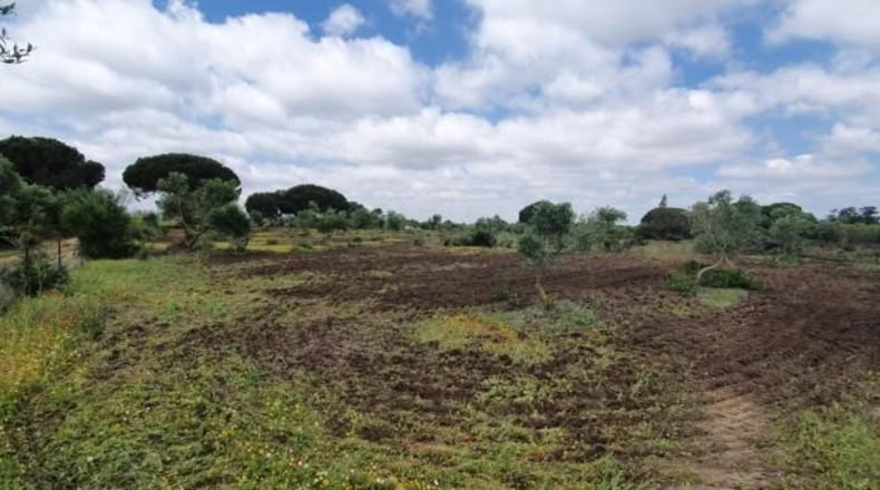 Кадис - San José del Valle - 4000m2