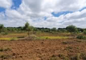 Non-developable land for sale on España, San José del Valle, ref: TR337374 photo