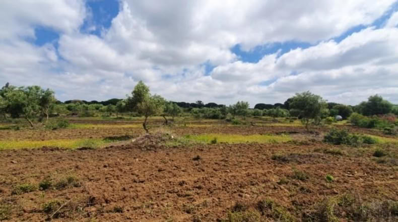 Кадис - San José del Valle - 4000m2
