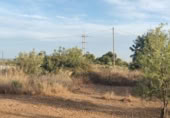 Земля на продажу у города El Puig de Santa Maria Фото