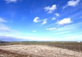 Non-developable land for sale on España, Don Benito, ref: TR367821 photo