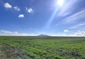 Non-developable land for sale on España, Don Benito, ref: TR367821 photo