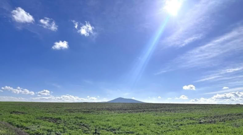Badajoz - Don Benito - 1492m2