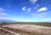 Non-developable land for sale on España, Don Benito, ref: TR367821 photo