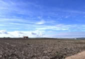 Non-developable land for sale on España, Don Benito, ref: TR367821 photo