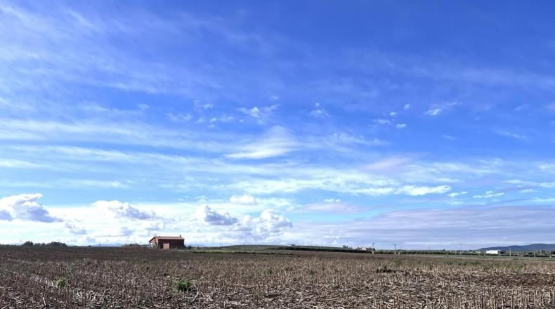 Badajoz - Don Benito - 1492m2