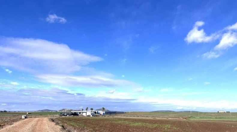 Badajoz - Don Benito - 1492m2