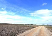 Non-developable land for sale on España, Don Benito, ref: TR367821 photo