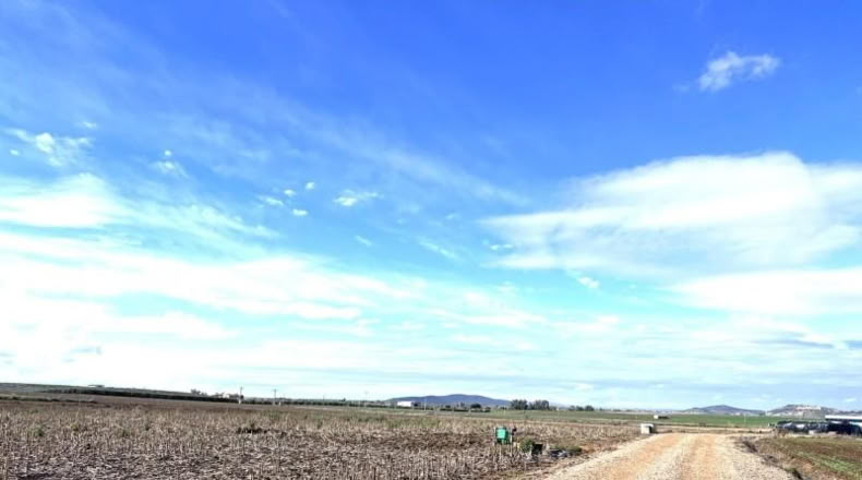 Badajoz - Don Benito - 1492m2