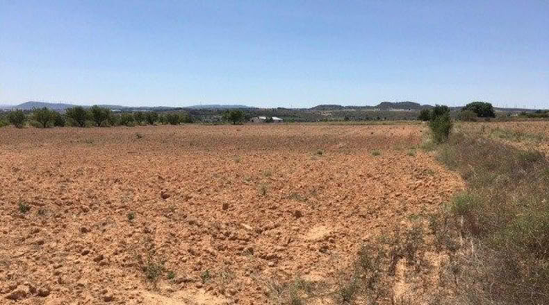 Albacete - Almansa - 16273m2