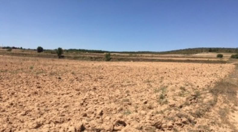 Albacete - Almansa - 16273m2
