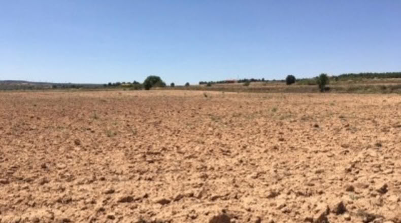 Albacete - Almansa - 16273m2
