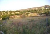 Terreny no urbanitzable en venda a la España, Calasparra, ref.: TR119441 foto
