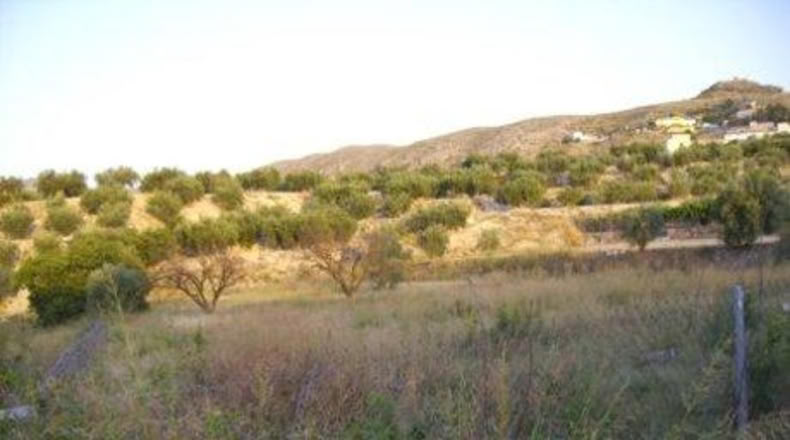 Múrcia - Calasparra - 2515m2