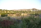 Terreny no urbanitzable en venda a la España, Calasparra, ref.: TR119441 foto