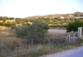 Terreny no urbanitzable en venda a la España, Calasparra, ref.: TR119441 foto