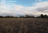 Xalet independent amb terreny en venda a la España, Tomelloso, ref.: TR313850 foto