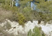 Sòl urbà en venda a la España, Canyelles, ref.: TR119584 foto