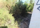 Finca rústica en venda a la España, Montfort, ref.: TR304395 foto