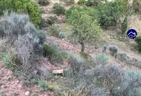 Foto 15