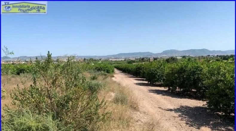 Murcia - Santomera - 2778m2