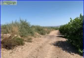 Xalet independent amb terreny en venda a la España, Santomera, ref.: TR300078 foto