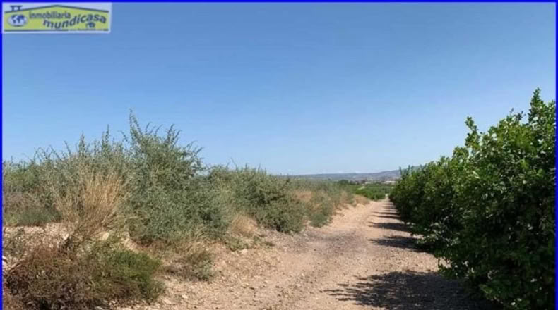 Murcia - Santomera - 2778m2