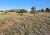 Terreny no urbanitzable en venda a la España, Monòver, ref.: TR122149 foto