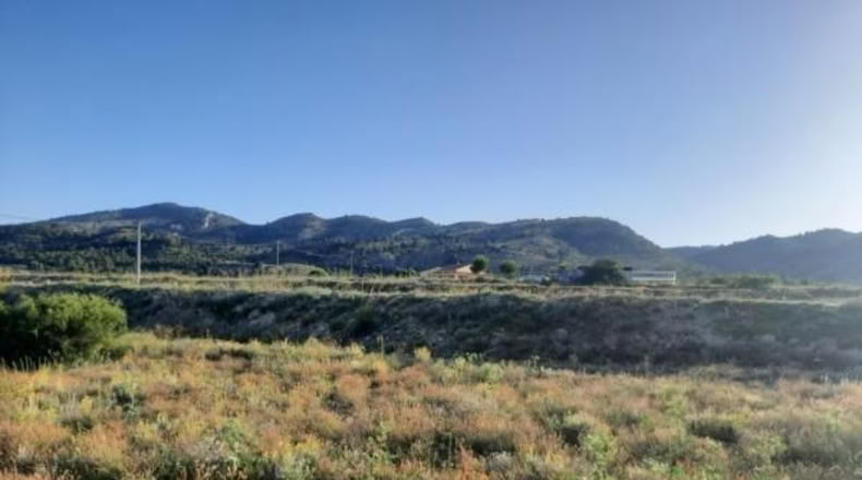 Alicante - Monóvar - 6273m2