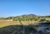 Terreny no urbanitzable en venda a la España, Monòver, ref.: TR122149 foto