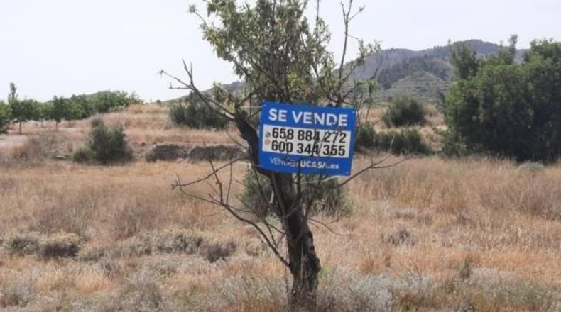 Alicante - Monóvar - 6273m2