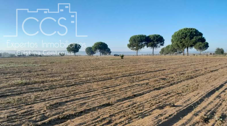 Huelva - Almonte - 25000m2