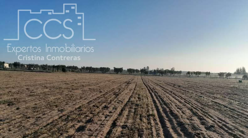 Huelva - Almonte - 25000m2