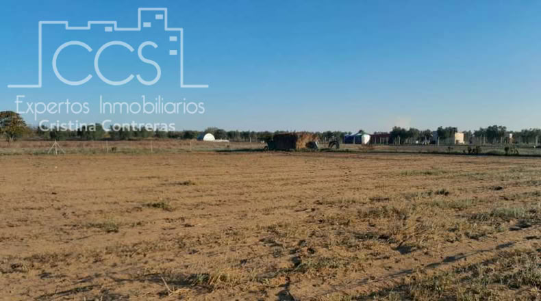 Huelva - Almonte - 25000m2