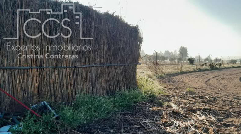 Huelva - Almonte - 25000m2