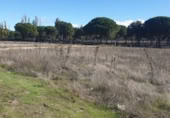 Parcela urbanizable en venta en la España, Aldeamayor de San Martín, ref: TR117128 foto